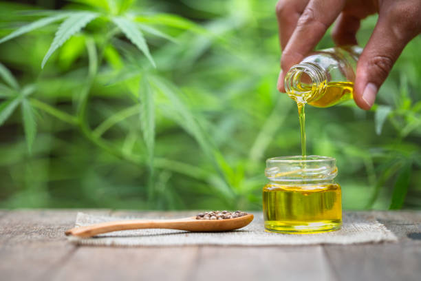 Exploring the Benefits of CBD What You Need to Know